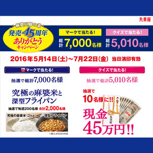丸美屋 麻婆豆腐45周年記念キャンペーン