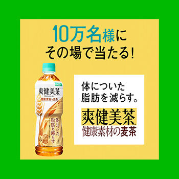 爽健美茶 健康素材の麦茶 無料懸賞キャンペーン2019